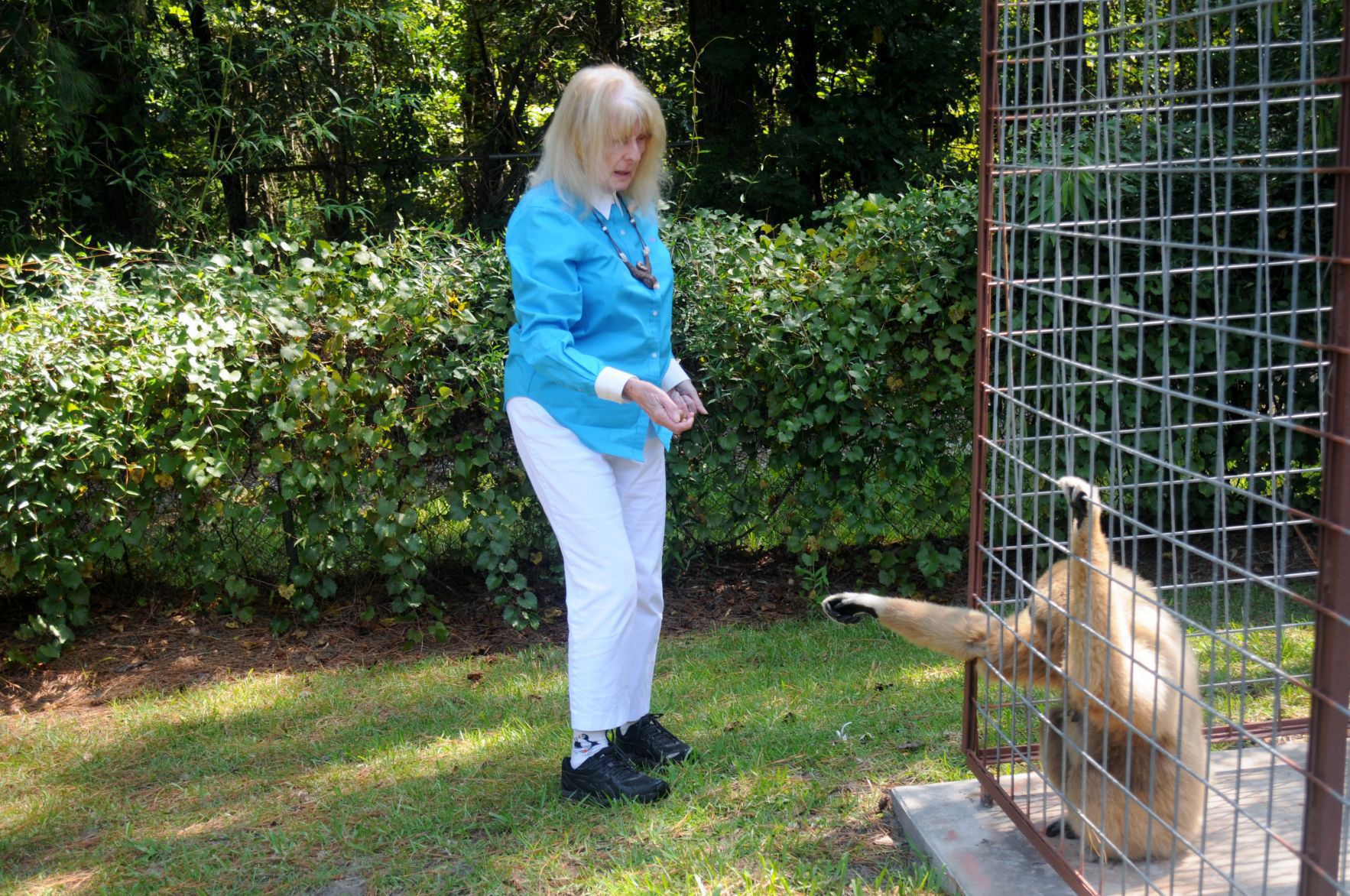 Gibbons sanctuary welcomes new executive director